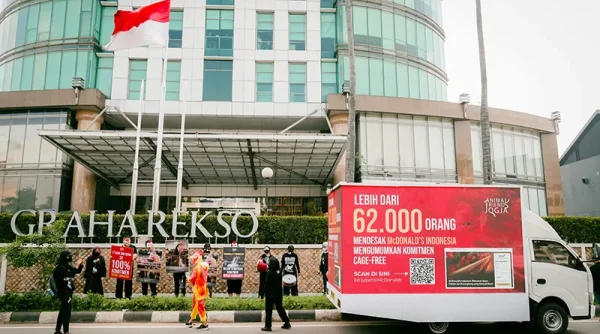 AFJ Desak McDonald's RI Percepat Transisi Cage-Free